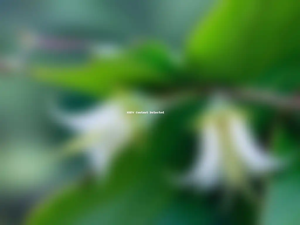 Datura ferox: Detalles tóxicos en alta definición Detalle impactante de la planta tóxica 'Datura ferox' de Uruguay